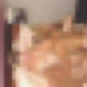 Photo sexy de Lou-Anne, 44 ans à Le Bailleul - rencontre coquine