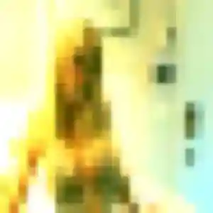 Photo de Soraya à Le Cellier (34 ans) - plan cul anonyme