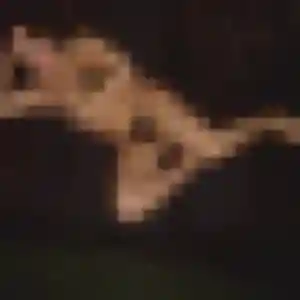 Photo de Quitterie à Le Crouais (39 ans) - plan cul sans inscription