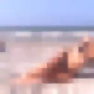Photo de Garance à Le Girouard (32 ans) - plan cul discret