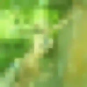 Photo exclusive de Flore, 40 ans à Le Gosier - rencontre coquine