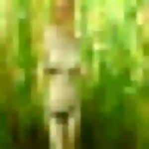 Contacte Honorine, 43 ans à Le Plessis-Belleville en privé