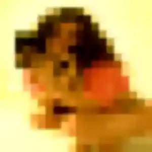 Photo privée de Jacqueline, 41 ans à Le Poiré-sur-Vie - rencontre coquine
