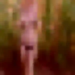 Patricia, femme de 22 ans cherche plan cul à Le Teilleul