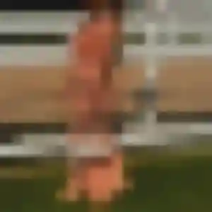 Photo perso de Phoebe, 32 ans à Le Thoronet - rencontre coquine