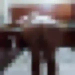 Daniela, 41 ans, dispo pour plan cul à Le Tignet