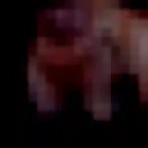 Photo de Idalina à Le Tremblay-sur-Mauldre (44 ans) - plan cul discret
