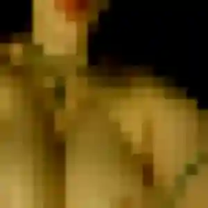 Geraldine, 40 ans, cherche un plan cul à Le Verger