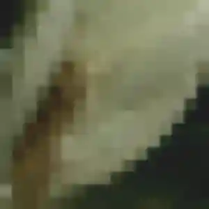 Charmante Chiara, 39 ans à Lépanges-sur-Vologne - la contacter
