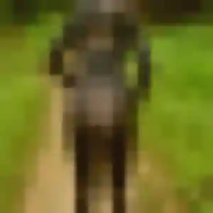 plan cul à Les Herbiers : profil de Nina, 31 ans - inscription gratuite