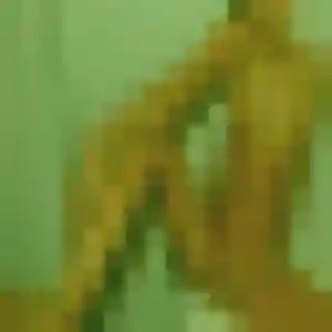 Rencontre Colombe, 37 ans à Leutenheim en privé