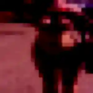 Manon, 36 ans, en ligne à Leutenheim pour une rencontre coquine
