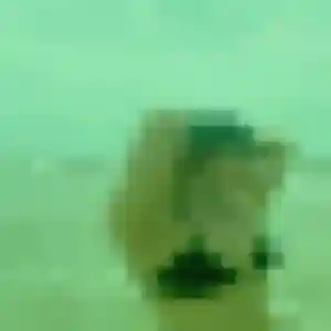 Photo privée de Elodie, 28 ans à Lézinnes - plan discret