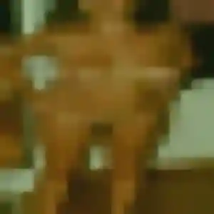 Photo privée de Maya, 45 ans à Lhomme - plan discret