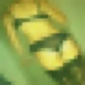 Photo privée de Nadia, 45 ans à Lignières - rencontre sans lendemain