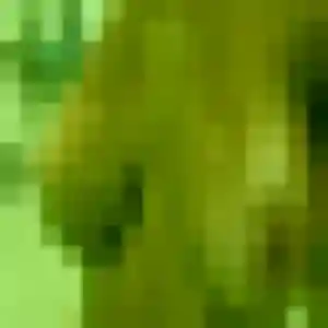 Profil de Henriette à Livry-Louvercy (33 ans) - plan cul gratuit