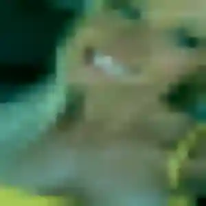Sexy Irene, 44 ans à Logonna-Daoulas - découvrir son profil