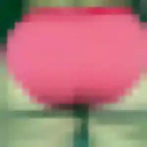 Photo exclusive de Gisele, 25 ans à Lorris - rencontre sans lendemain