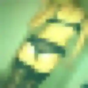 Photo de Edith à Lunel-Viel (31 ans) - plan cul anonyme