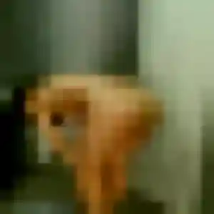 Photo exclusive de Anne-Laure, 30 ans à Lupstein - rencontre sans lendemain