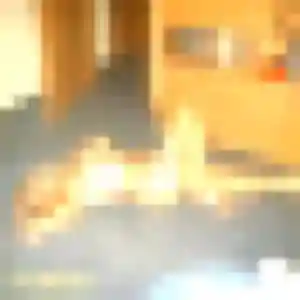 Brunehilde (35 ans) à Lury-sur-Arnon cherche un plan cul rapidement