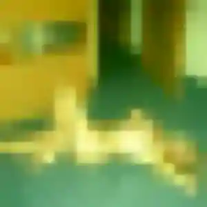 plan cul à Magny : photo de Emma, 31 ans - accès libre