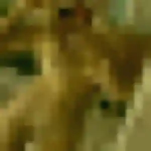 Emeraude (32 ans) à Maillé cherche un plan cul ce soir