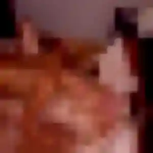 Photo perso de Sibylle, 44 ans à Mairieux - rencontre sans lendemain