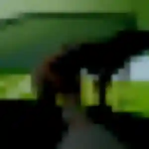 Delice, 26 ans, disponible à Malansac pour une rencontre coquine
