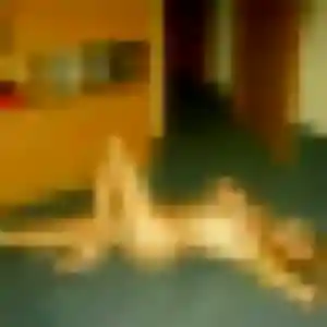 plan cul à Malemort : photo de Ines, 42 ans - sans engagement