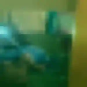 Photo de Violette à Malijai (23 ans) - plan cul anonyme