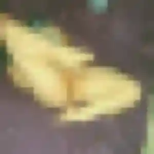 Charmante Marie-Louise, 29 ans à Marly-la-Ville - la contacter
