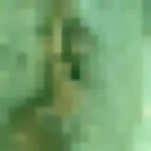 Photo perso de Laetitia, 28 ans à Maromme - rencontre coquine