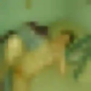Yvette de Marsannay-le-Bois, 36 ans - plan cul discret