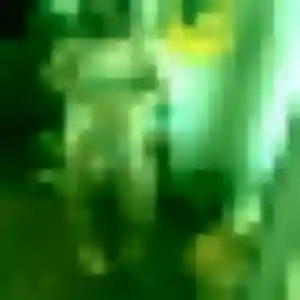 Photo perso de Oumaima, 41 ans à Massy - rencontre coquine