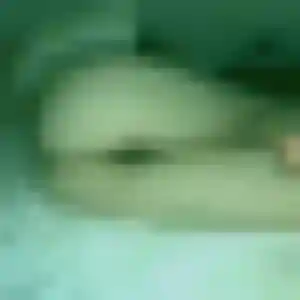 Photo de Laurence à Mathieu (36 ans) - plan cul discret