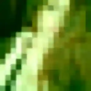 plan cul à Mauvezin-sur-Gupie : profil de Wilhelmine, 35 ans - inscription gratuite