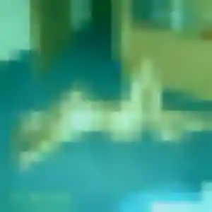 Heloise, 38 ans, dispo pour plan cul à Mazet-Saint-Voy