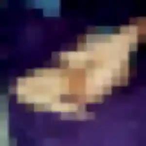 Ava, femme de 35 ans veut plan cul à Mennecy