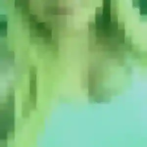 Alix, 41 ans, connectée à Menthonnex-en-Bornes pour un plan cul