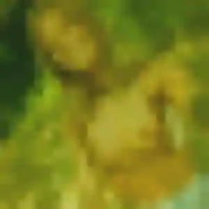 Contacte Djamila, 32 ans à Mercuer en privé