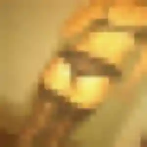 Photo exclusive de Adele, 30 ans à Mesnil-Raoul - rencontre coquine