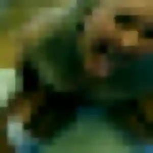 Marie-Jose, 29 ans, cherche un plan cul à Mesnil-Sellières