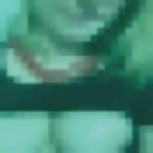 Photo privée de Paloma, 27 ans à Mimet - rencontre sans lendemain