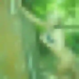Whitney, 37 ans, connectée à Miserey pour une rencontre coquine