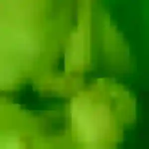 Laurence, 29 ans, dispo pour plan cul à Monchy-Humières