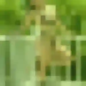 Photo de Pascale à Monchy-Lagache (44 ans) - plan cul discret