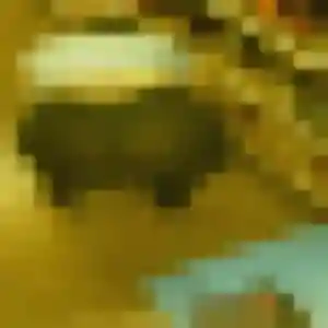 Photo privée de Kim, 37 ans à Mont-Saint-Père - rencontre coquine