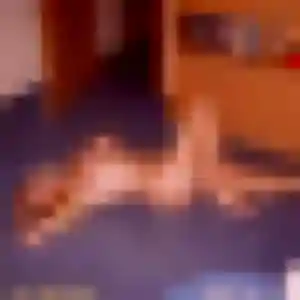 Eliane, fille de 35 ans veut plan cul à Montarnaud