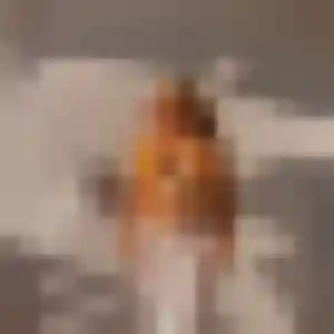 Sexy Tamara, 38 ans à Montaut - la contacter